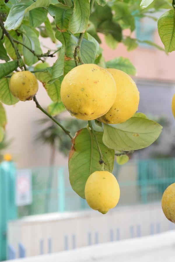가에타 Il Giardino Dei Limoni 아파트 외부 사진